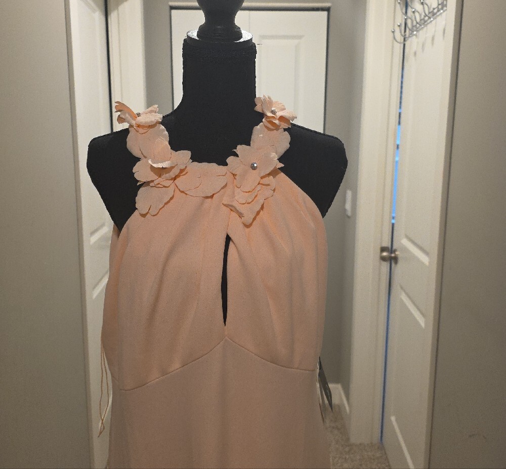 Adrianna Papell Blush Peach Kiss  Floral Halter Maxi Dress - Picture 5 of 13